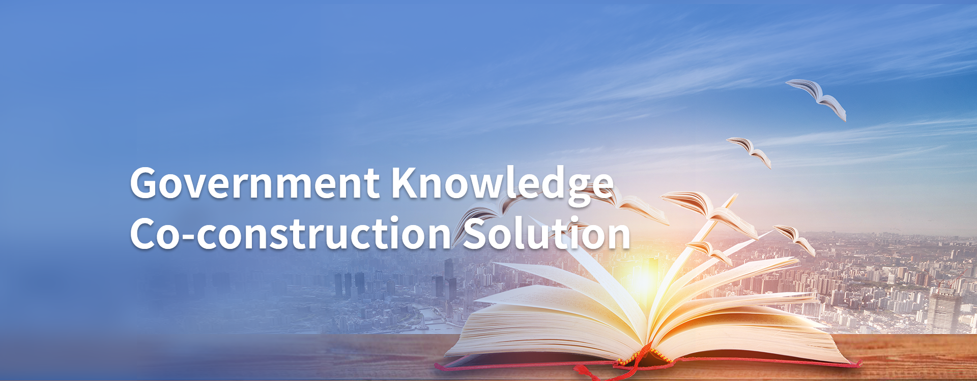  Government Knowledge Co-construction